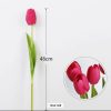 Tulip Flower [RED]