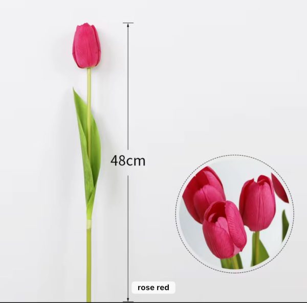Tulip Flower [RED]