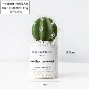 TRANSPARENT CACTUS PLANT DÉCOR BIG