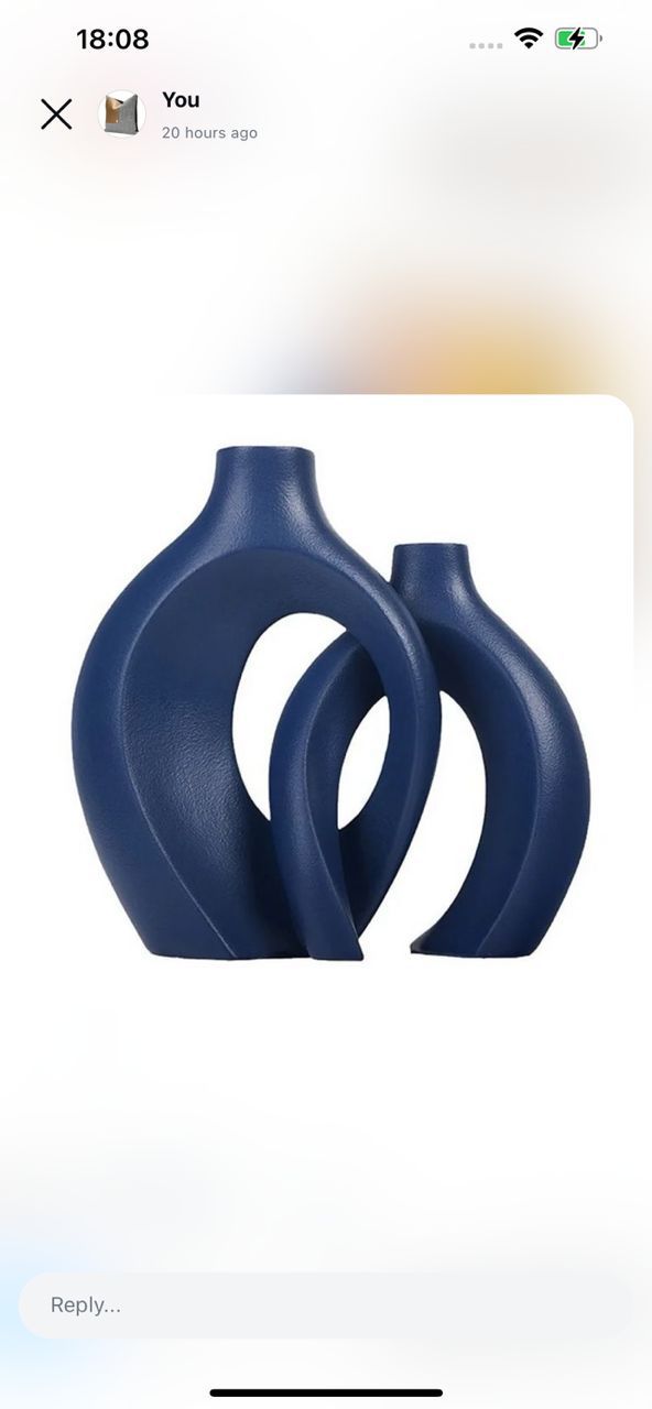 2 In 1 Vase [Blue]