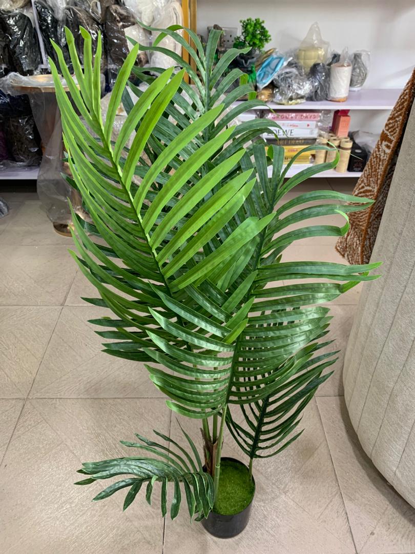 Palm Plant [Small]